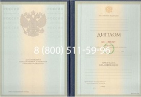 Диплом Владимирского филиала Фу при Правительстве Российской Федерации 1997-2002 годов Диплом Владимирского филиала Фу при Правительстве Российской Федерации 1997-2002 годов
