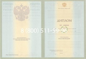 Диплом Владимирского филиала Фу при Правительстве Российской Федерации 2003-2009 годов Диплом Владимирского филиала Фу при Правительстве Российской Федерации 2003-2009 годов