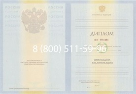 Диплом Владимирского филиала Фу при Правительстве Российской Федерации 2010-2011 годов Диплом Владимирского филиала Фу при Правительстве Российской Федерации 2010-2011 годов