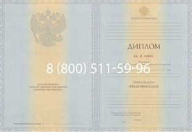 Диплом Владимирского филиала Фу при Правительстве Российской Федерации 2012-2013 годов Диплом Владимирского филиала Фу при Правительстве Российской Федерации 2012-2013 годов