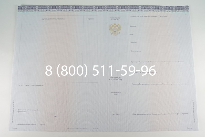 Диплом бакалавра (Киржач) 2014-2024 года в Орле Диплом бакалавра (Киржач) 2014-2024 года в Орле