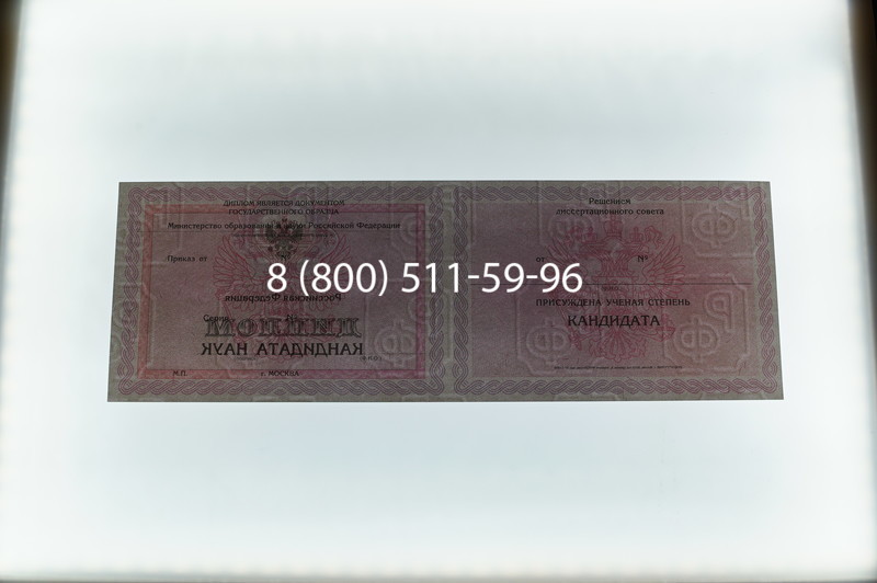 Заказать Диплом кандидата наук 2010 в Орле