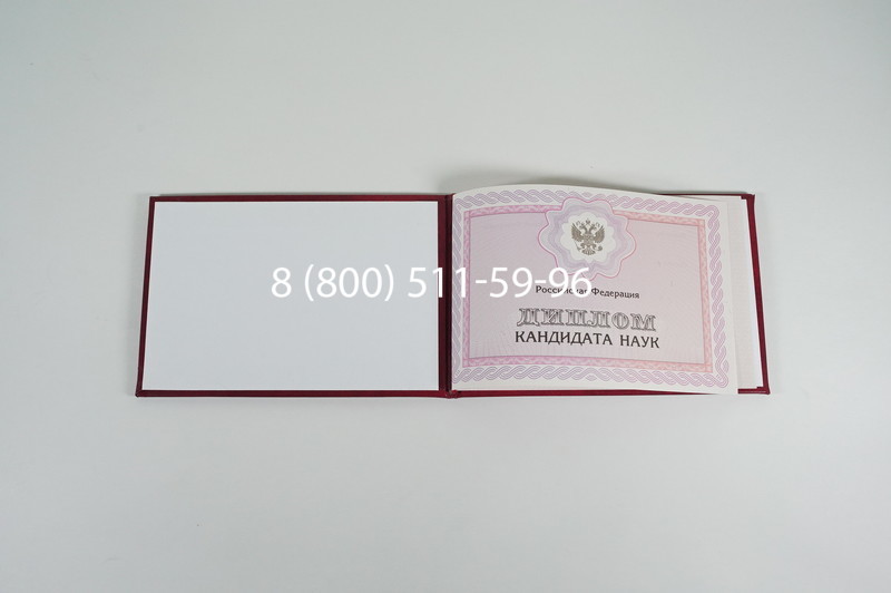 Заказать Диплом кандидата наук 2010 в Орле