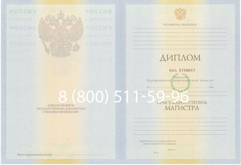 Купить Диплом магистра 2010-2011 годов в Орле