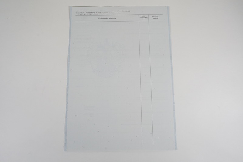 Диплом о начальном образовании 2007-2009 годов в Орле Диплом о начальном образовании 2007-2009 годов в Орле
