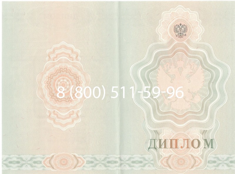 Купить Диплом училища 2007-2009 годов в Орле Купить Диплом училища 2007-2009 годов в Орле